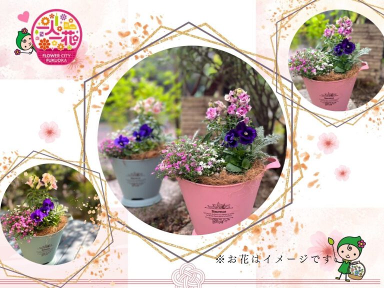 早春の寄せ植えワークショップ